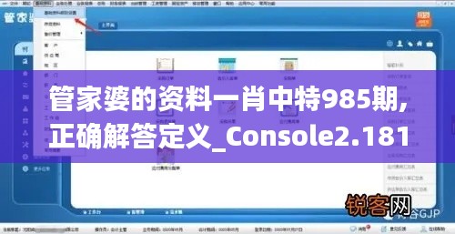 管家婆的资料一肖中特985期,正确解答定义_Console2.181