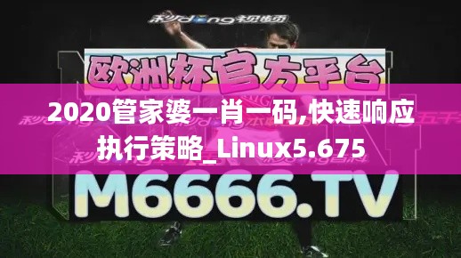 2020管家婆一肖一码,快速响应执行策略_Linux5.675