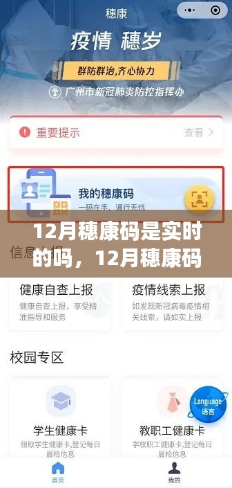 穗康码实时之旅，探寻自然宝藏，拥抱内心宁静的十二月时光