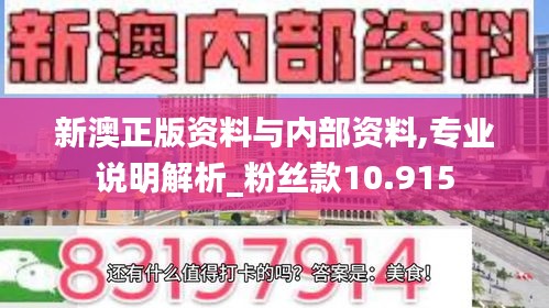 新澳正版资料与内部资料,专业说明解析_粉丝款10.915