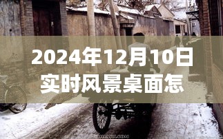 探秘小巷深处梦幻风景，定制实时桌面背景设置指南（2024年12月10日）