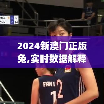 2024新澳门正版兔,实时数据解释定义_免费版16.568