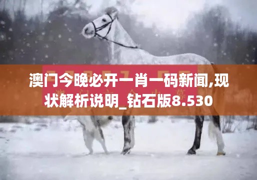 澳门今晚必开一肖一码新闻,现状解析说明_钻石版8.530