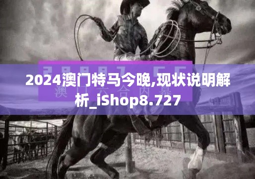 2024澳门特马今晚,现状说明解析_iShop8.727