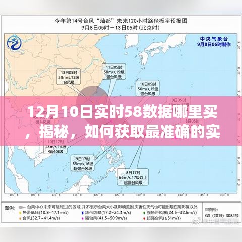 揭秘，如何获取最准确的实时数据——关于12月10日实时58数据购买指南及实时数据获取揭秘