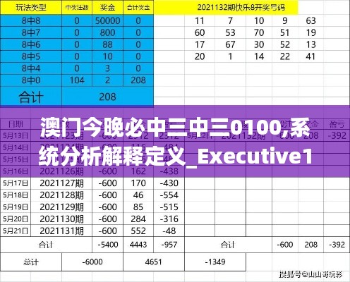 澳门今晚必中三中三0100,系统分析解释定义_Executive12.770