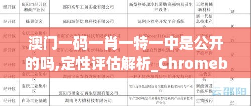 澳门一码一肖一特一中是公开的吗,定性评估解析_Chromebook10.335