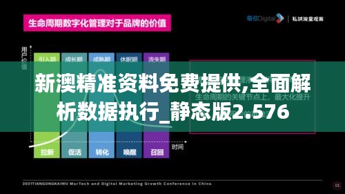 新澳精准资料免费提供,全面解析数据执行_静态版2.576