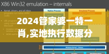 2024管家婆一特一肖,实地执行数据分析_户外版2.108