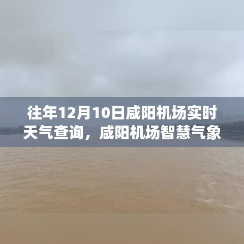 咸阳机场智慧气象助手，重塑飞行前准备体验，实时天气查询助您轻松出行