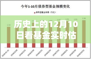 历史上的12月10日基金实时估值软件的发展与展望（2024年）