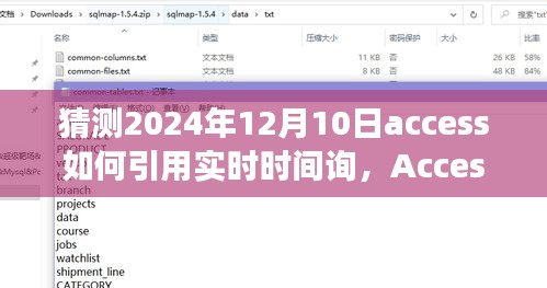 2024年12月10日Access实时时间询功能展望与深度解析，预测与实现