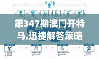 第347期澳门开特马,迅捷解答策略解析_体验版3.852