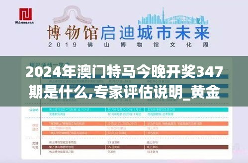 2024年澳门特马今晚开奖347期是什么,专家评估说明_黄金版3.812