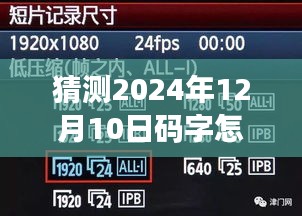 2024年12月10日码字统计全攻略，实时掌握未来码字统计新方法