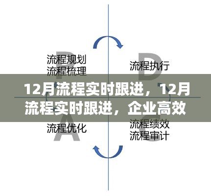 揭秘企业高效运营秘诀，12月流程实时跟进