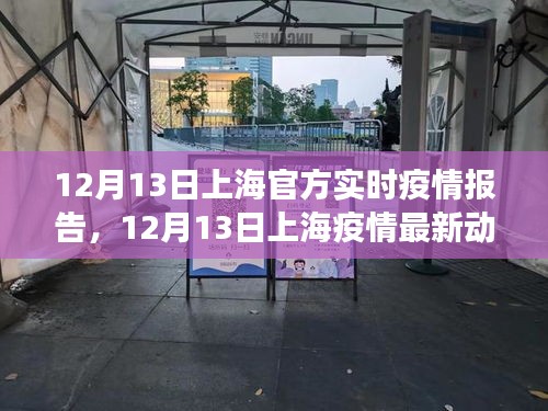 上海疫情实时报告，防控成效与公众关切聚焦于12月13日最新动态