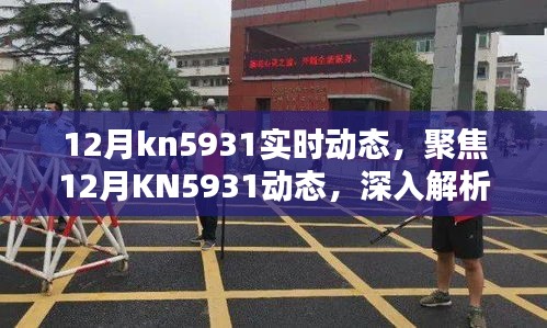 聚焦12月KN5931实时动态，深入解析与观点阐述