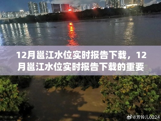 12月邕江水位实时报告下载及其重要性，全面解析与观点阐述