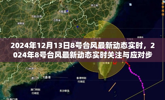 2024年8号台风最新动态实时，关注与应对步骤指南