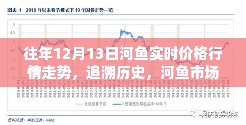 河鱼市场深度解析，往年12月13日价格行情走势与深度追溯报告