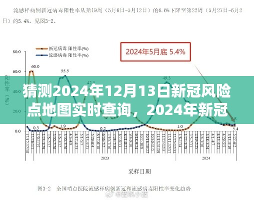 2024年新冠风险点地图实时查询预测与反思