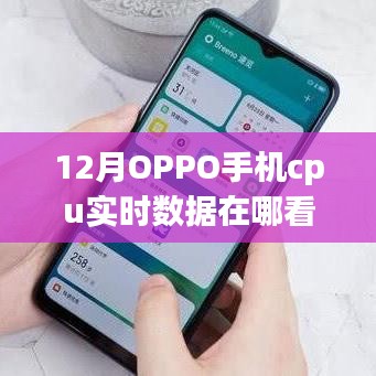 揭秘十二月OPPO手机CPU实时数据查看指南，轻松掌握手机性能动态