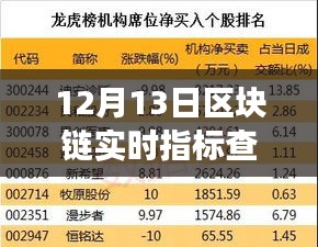 12月13日区块链实时指标查询指南，洞悉行业趋势，把握投资机会