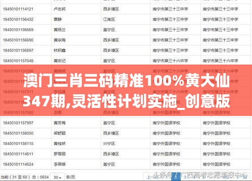 澳门三肖三码精准100%黄大仙347期,灵活性计划实施_创意版8.948