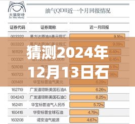 2024年12月13日石油基金实时分析软件深度探索，洞悉未来市场趋势