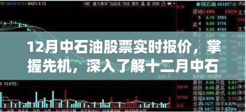 掌握先机，十二月中石油股票实时报价与市场动态解析