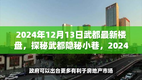 探秘武都隐秘小巷与最新楼盘的独特小店，2024年12月13日最新资讯