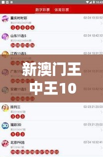 新澳门王中王100%期期中348期：如何实现彩票投资的最大化回报