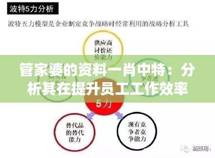 管家婆的资料一肖中特：分析其在提升员工工作效率中的关键因素