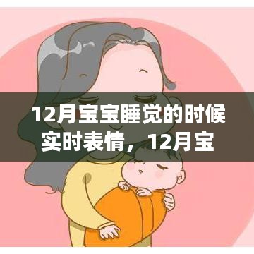 揭秘成长奥秘，12月宝宝睡眠表情背后的故事与情感视觉盛宴