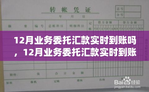 12月业务委托汇款实时到账，启程自然美景探索的金融桥梁