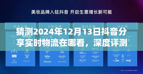 2024年抖音物流分享功能深度评测与预测，实时追踪物品位置