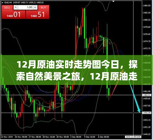 12月原油走势图解析，自然美景背后的宁静力量与微笑启程