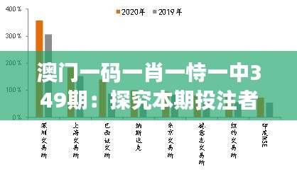 澳门一码一肖一恃一中349期：探究本期投注者行为与决策过程