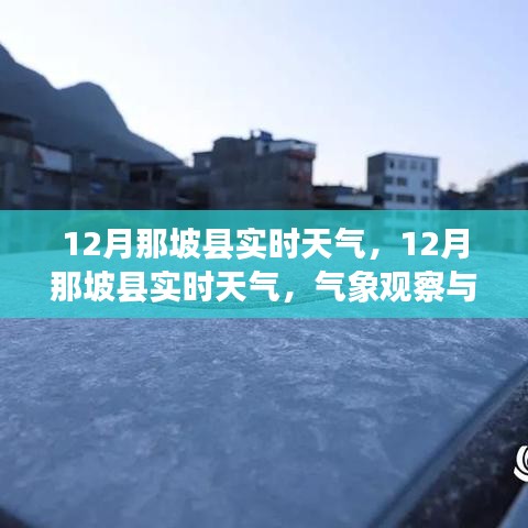 12月那坡县实时天气预报及旅行建议