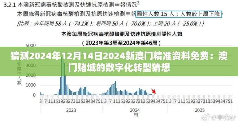 猜测2024年12月14日2024新澳门精准资料免费：澳门赌城的数字化转型猜想