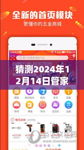 猜测2024年12月14日管家婆一码一肖100中奖：一场关于运气与概率的游戏