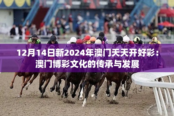 12月14日新2024年澳门天天开好彩：澳门博彩文化的传承与发展