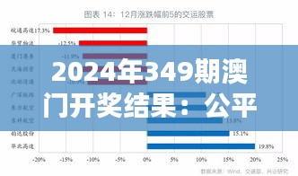 2024年349期澳门开奖结果：公平与运气的古老博弈