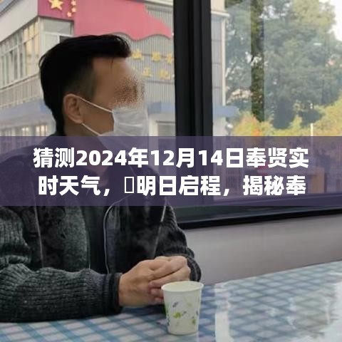 ​揭秘奉贤之美，启程探寻心灵宁静之旅——​2024年12月14日奉贤天气预报探秘与实时天气猜测