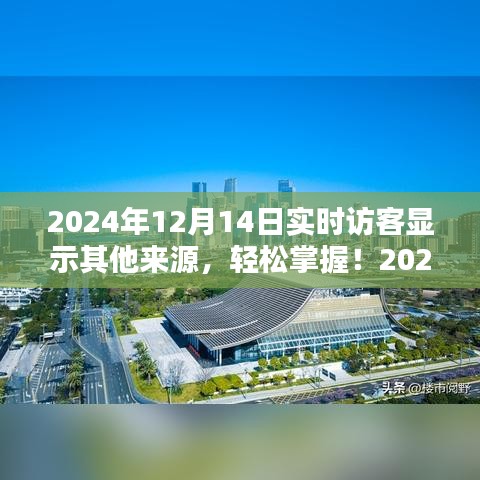 2024年实时访客来源分析全攻略，掌握其他来源的访客动态！