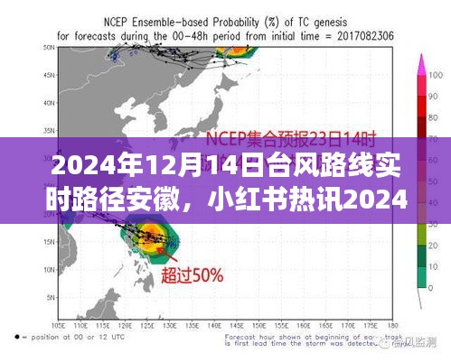 台风实时路径追踪，安徽如何应对即将到来的风暴？