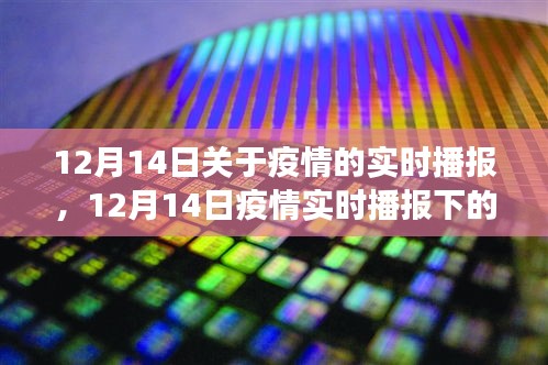 关于疫情的实时播报，从某某观点看疫情发展下的观察与思考（12月14日）