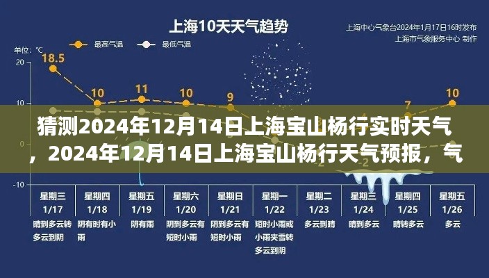 气候变迁下的上海宝山杨行天气预报，2024年12月14日的实时天气观察