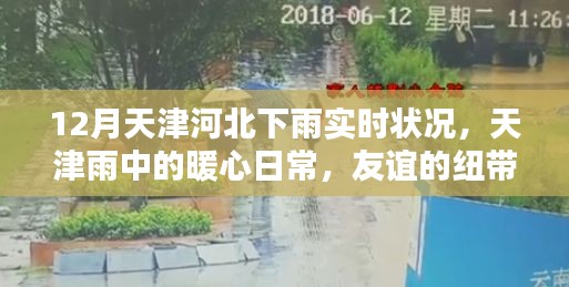 天津河北区12月雨况纪实，雨中温情与家的牵绊